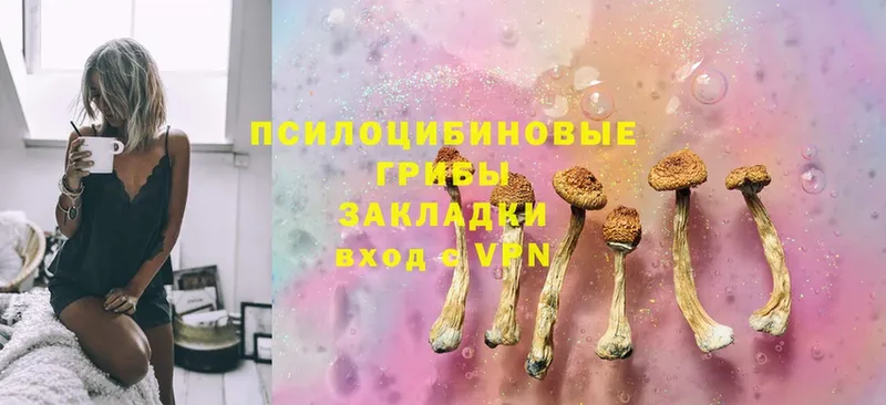 Псилоцибиновые грибы MAGIC MUSHROOMS  купить наркоту  Оса 